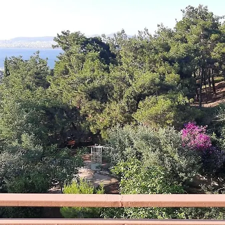 Apartamento Escape To Bird's Nest In Buyukada Adalar